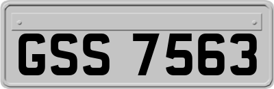 GSS7563