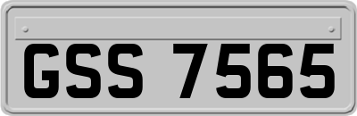 GSS7565