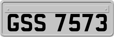 GSS7573