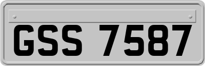 GSS7587