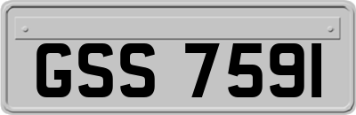 GSS7591