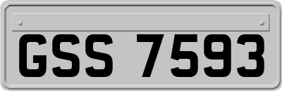 GSS7593