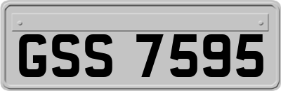 GSS7595