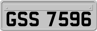 GSS7596
