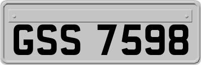 GSS7598