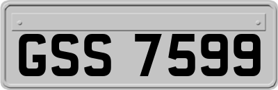 GSS7599