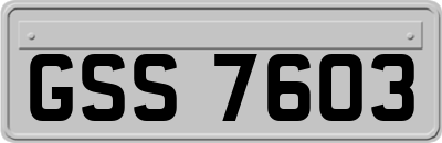 GSS7603