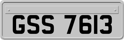 GSS7613