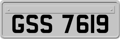 GSS7619