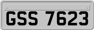 GSS7623