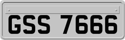 GSS7666