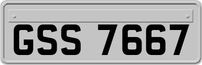 GSS7667