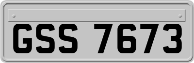 GSS7673