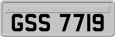 GSS7719