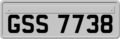 GSS7738