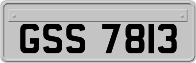 GSS7813