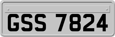 GSS7824