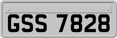GSS7828