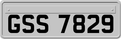 GSS7829