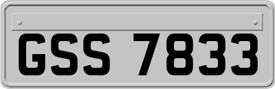 GSS7833