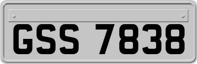 GSS7838