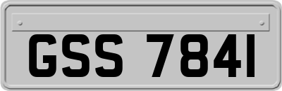 GSS7841