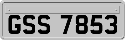 GSS7853