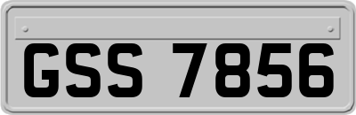 GSS7856