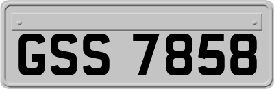 GSS7858