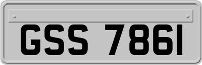 GSS7861