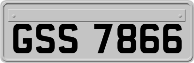GSS7866