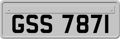 GSS7871