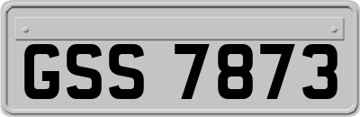GSS7873