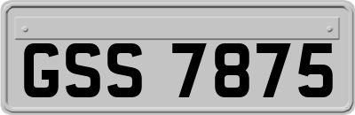 GSS7875