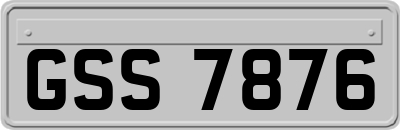 GSS7876