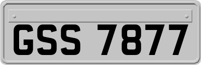 GSS7877