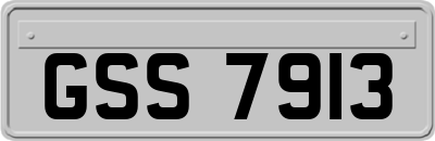 GSS7913