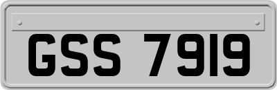 GSS7919