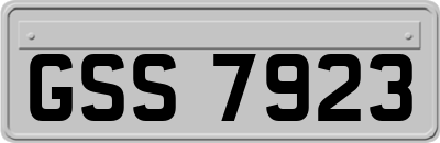 GSS7923