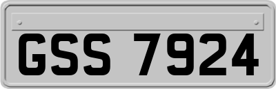 GSS7924
