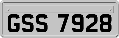 GSS7928