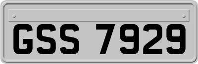 GSS7929