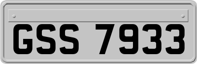 GSS7933