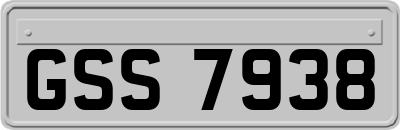GSS7938