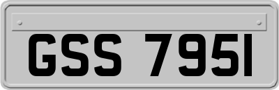GSS7951