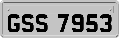 GSS7953