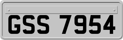 GSS7954