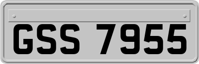 GSS7955
