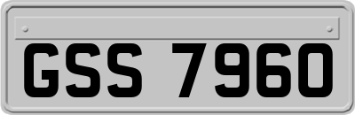 GSS7960