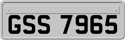 GSS7965